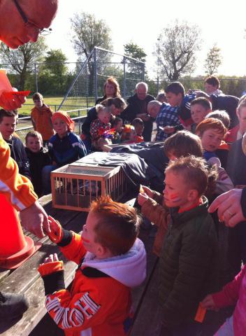 duiven lossen 10.jpg