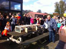 duiven lossen 7.jpg duiven lossen 7.jpg