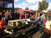 duiven lossen 8.jpg duiven lossen 8.jpg