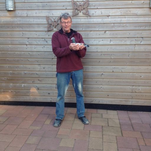 Roye 2504 resize.jpg