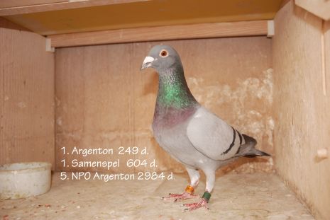 arg0706 (1) resize.jpg