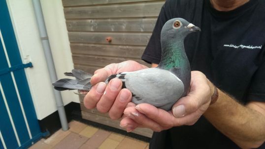 fon0309 (2) resize.jpg