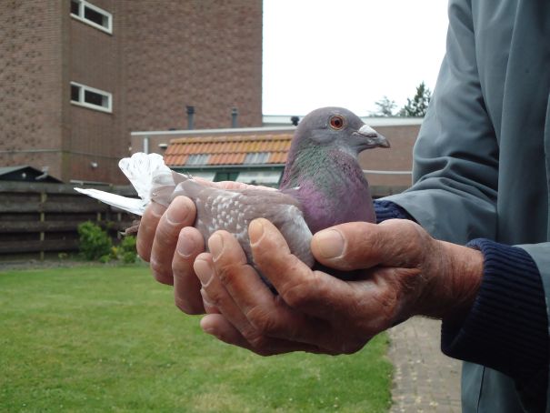 sint vincent 2015 resize.jpg