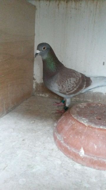 stquentin 0205 resize.jpg